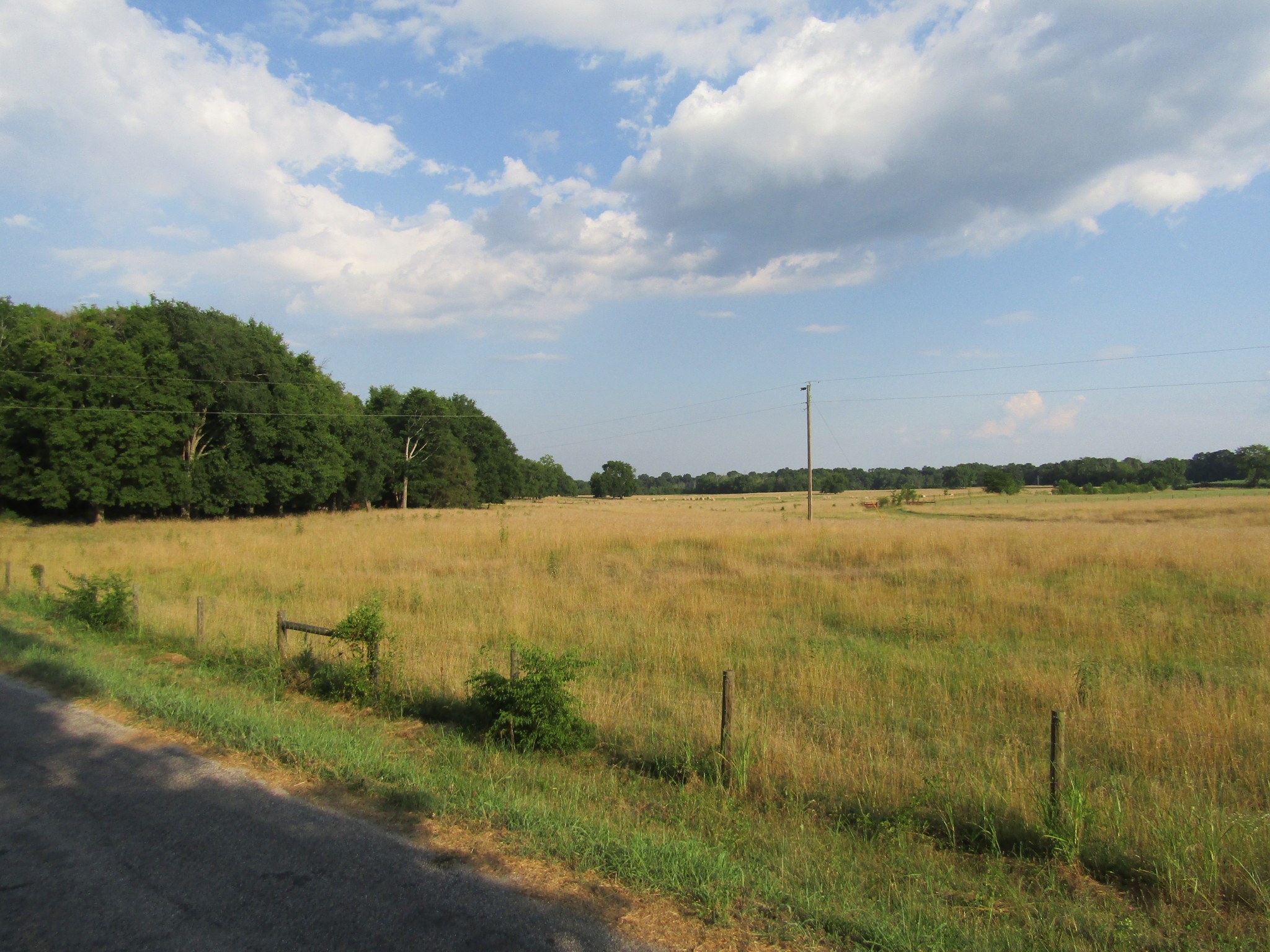 0 Finley Road Lewisburg, TN 37091 - Photo 1 of 17 Gallery Image 1