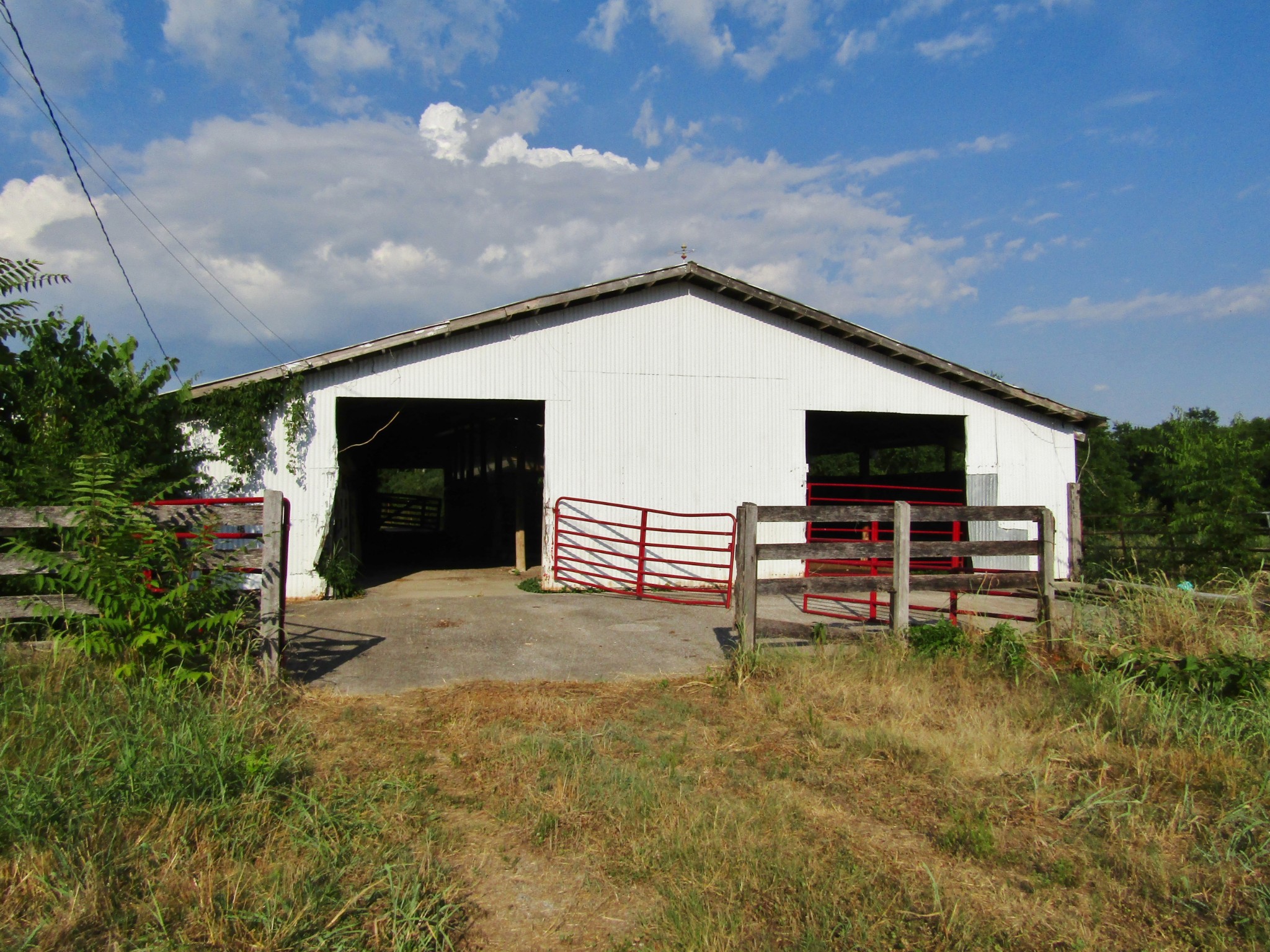 0 Finley Road Lewisburg, TN 37091 - Photo 14 of 17 Gallery Image 14