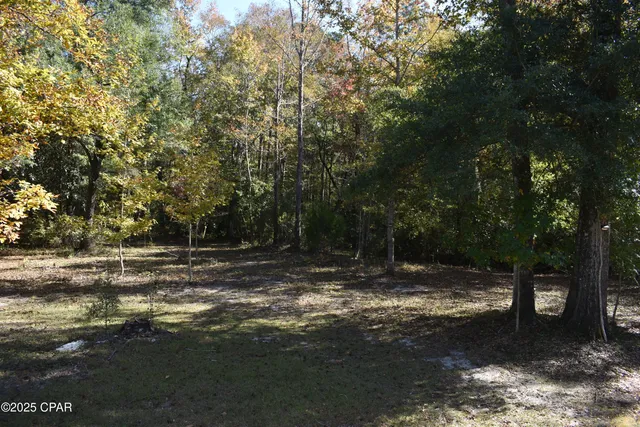 $119,000 | 2461 Angelena Court, Chipley, FL 32428