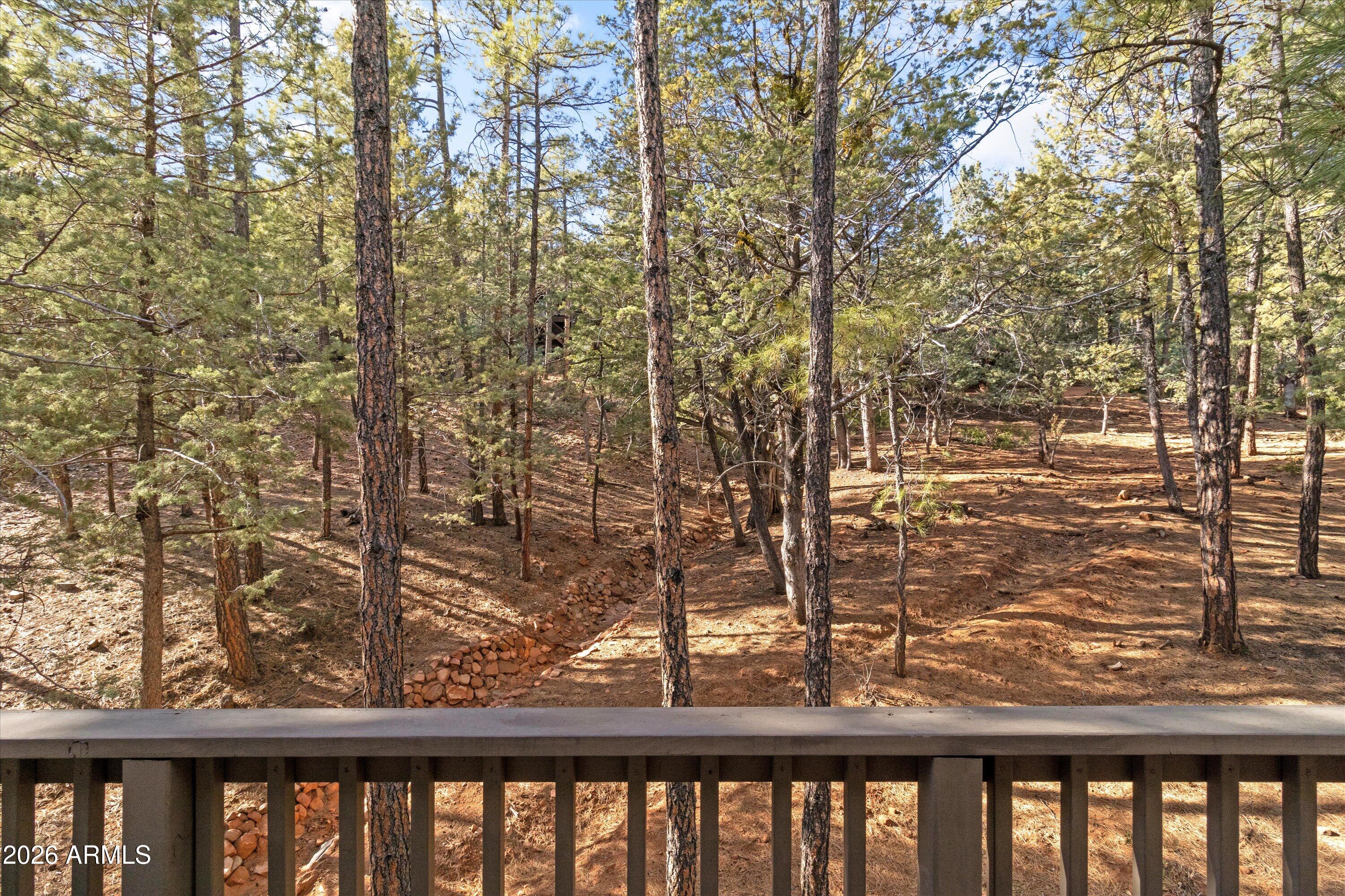 6181 Pinon Loop Pine, AZ 85544 - Photo 28 of 36 23-IMG_4194