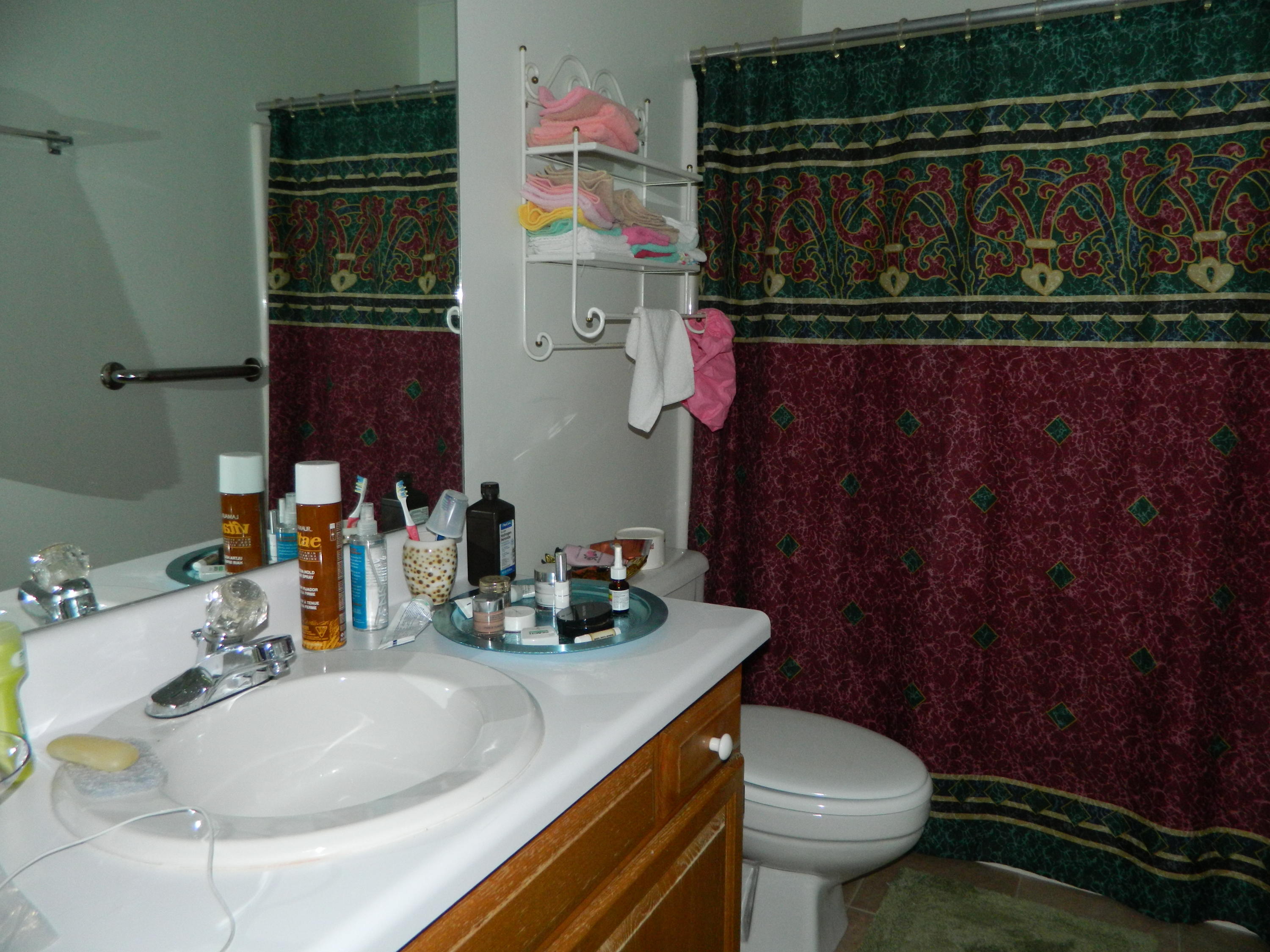 13 Rivers Court Oak Ridge, TN 37830 - Photo 15 of 15 DSCN0480