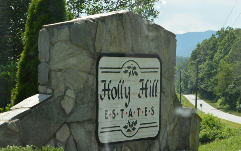Holly Hills Epworth, GA 30541 - Photo 1 of 1 Main View
