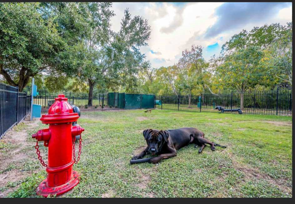 529 Barker-Clodine Road, Unit VERBANA Houston, TX 77094 - Photo 7 of 17 a backyard of a house with trampoline fire pit tables and chairs