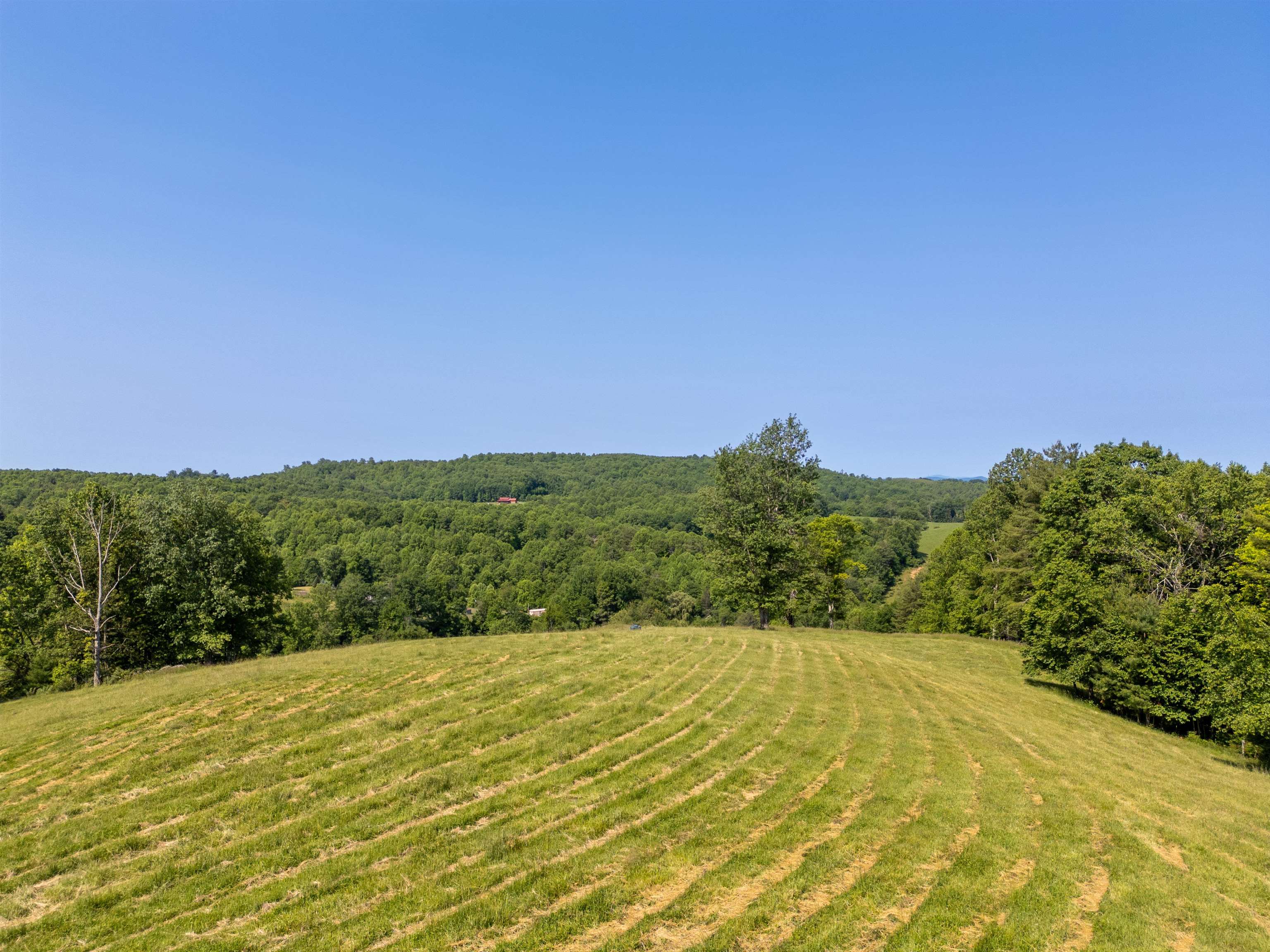 Tbd Tbd Gibson Knob Road Laurel Fork, VA 24352 - Photo 21 of 65 Gallery Image 21
