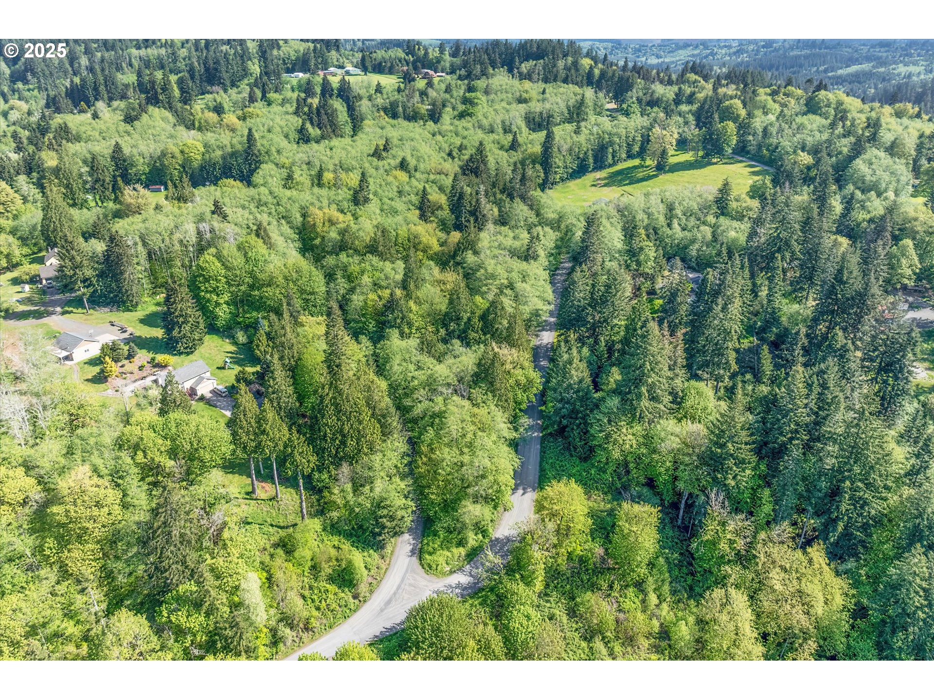 Mill Falls Lane Longview, WA 98632 - Photo 17 of 18 a view of a lush green forest