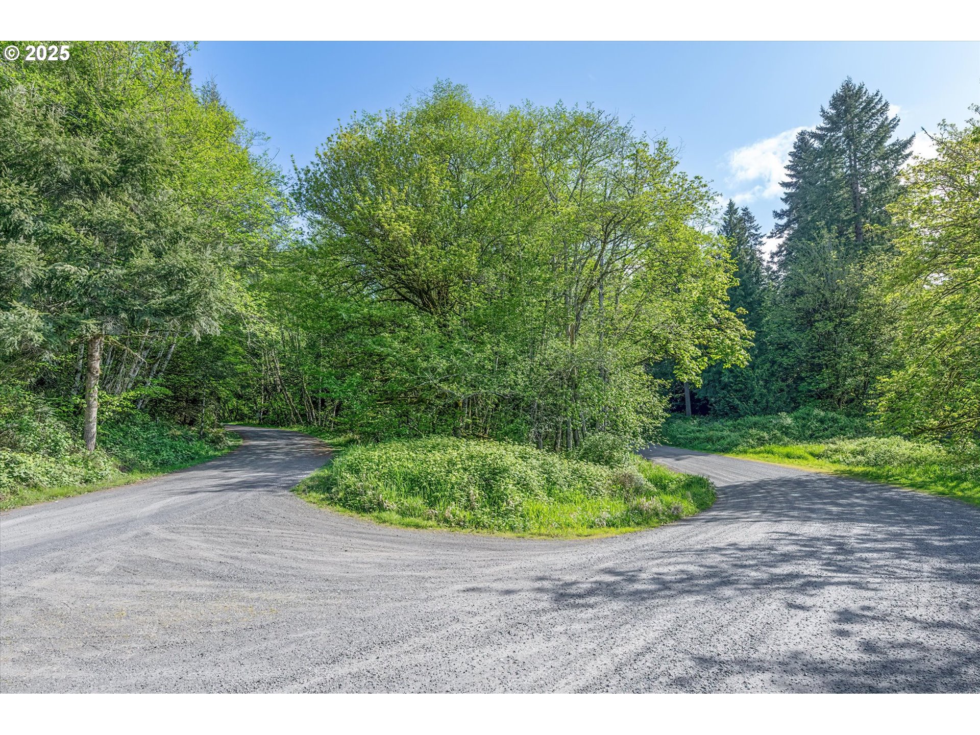 Mill Falls Lane Longview, WA 98632 - Photo 18 of 18 a view of a backyard