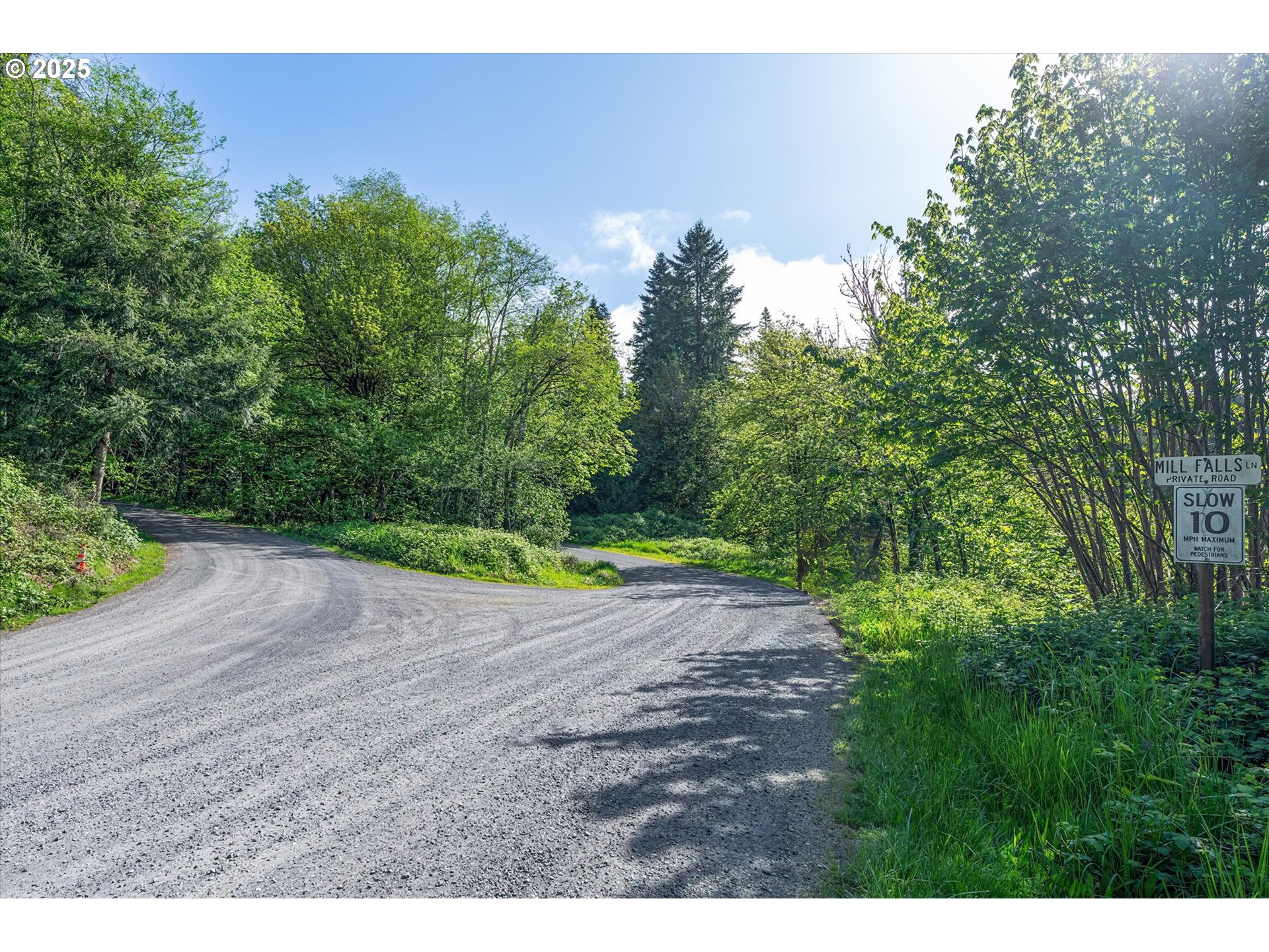 Mill Falls Lane Longview, WA 98632 - Photo 5 of 18 a view of a yard with a tree