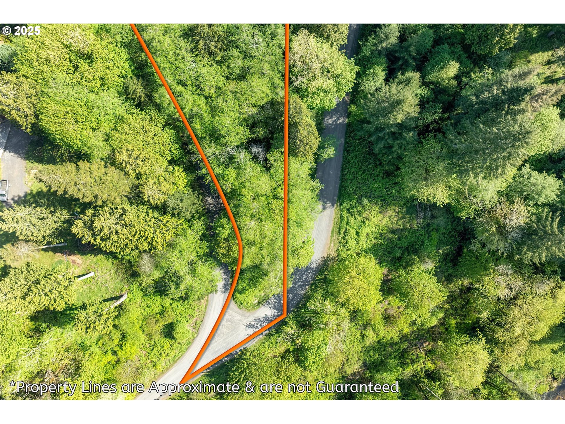 Mill Falls Lane Longview, WA 98632 - Photo 8 of 18