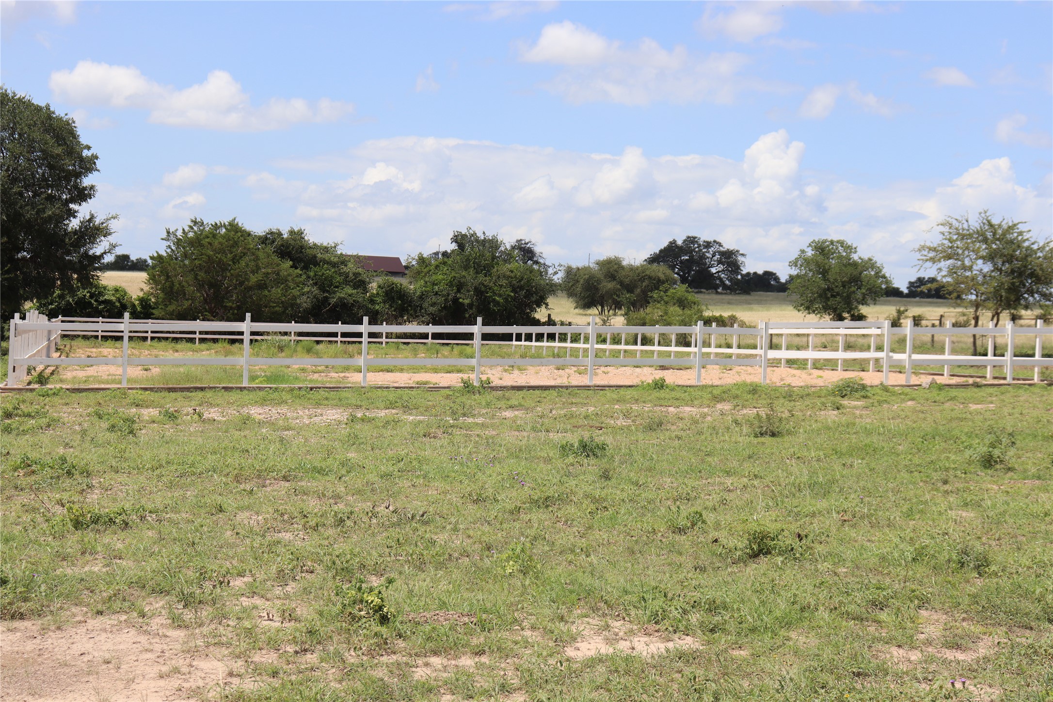 1220 Brushy Branch Road Lockhart, TX 78644 - Photo 3 of 14 A pristine white fence encloses a spacious lot, offering a perfect canvas for rural living.