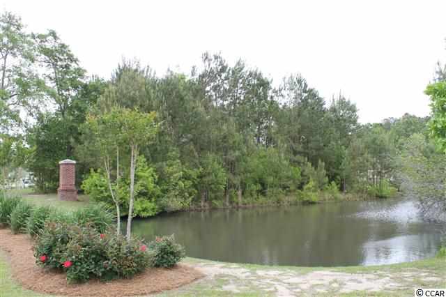 Tbd Firethorne Drive Murrells Inlet, SC 29576 - Photo 1 of 15 Gallery Image 1