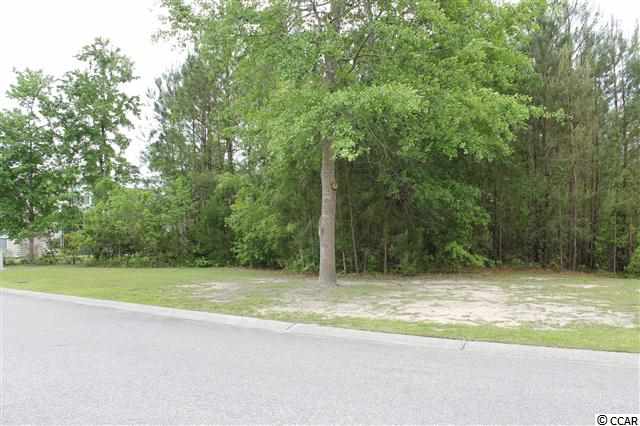 Tbd Firethorne Drive Murrells Inlet, SC 29576 - Photo 2 of 15 Gallery Image 2