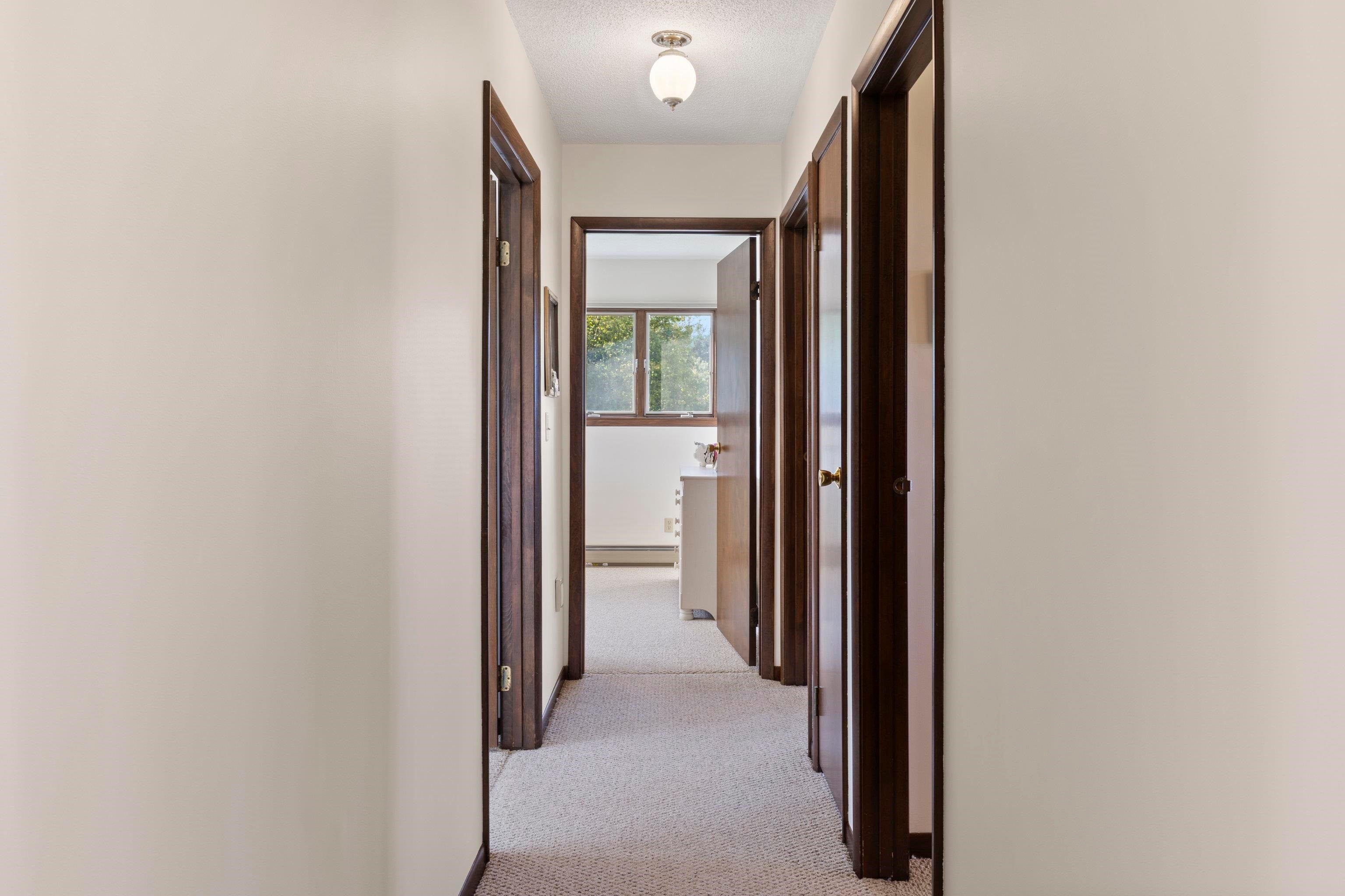 6088 Demerly Road Benzonia, MI 49616 - Photo 21 of 48 Gallery Image 21