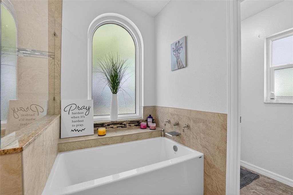 1668 Allens Ridge Drive North Palm Harbor, FL 34683 - Photo 23 of 48 a bath tub sitting next to a white sink