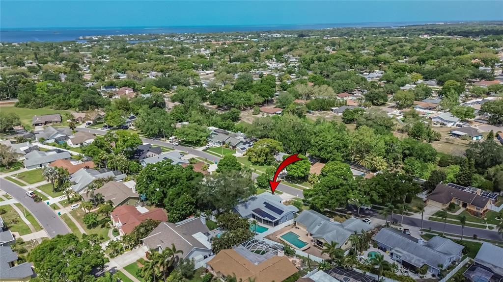 1668 Allens Ridge Drive North Palm Harbor, FL 34683 - Photo 45 of 48 an aerial view of a houses with a yard