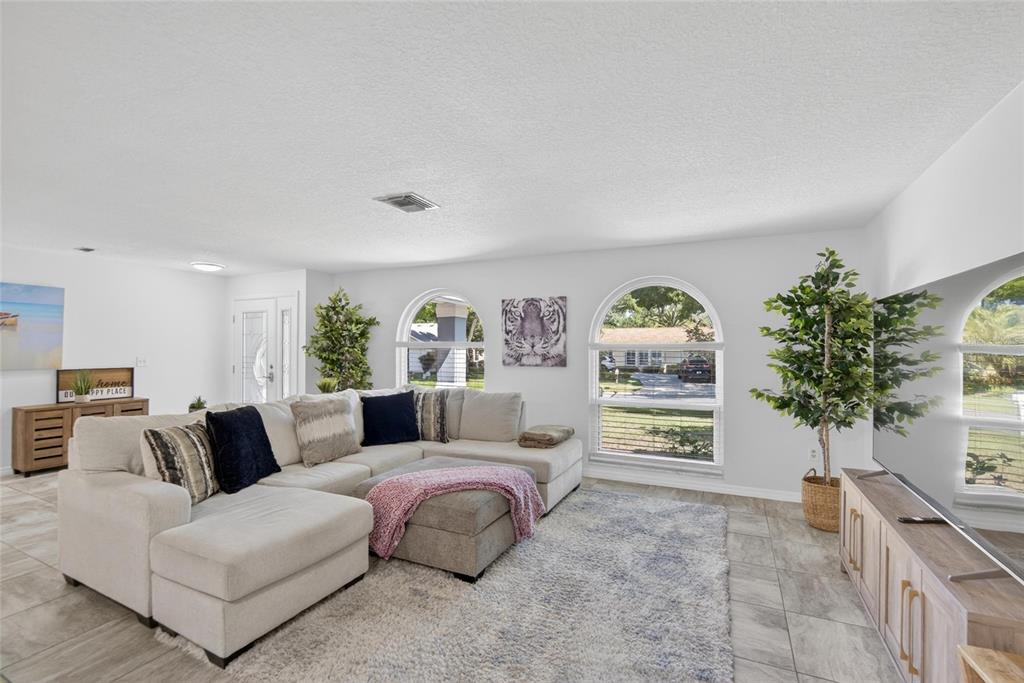1668 Allens Ridge Drive North Palm Harbor, FL 34683 - Photo 5 of 48 a living room with furniture a fireplace and a potted plant
