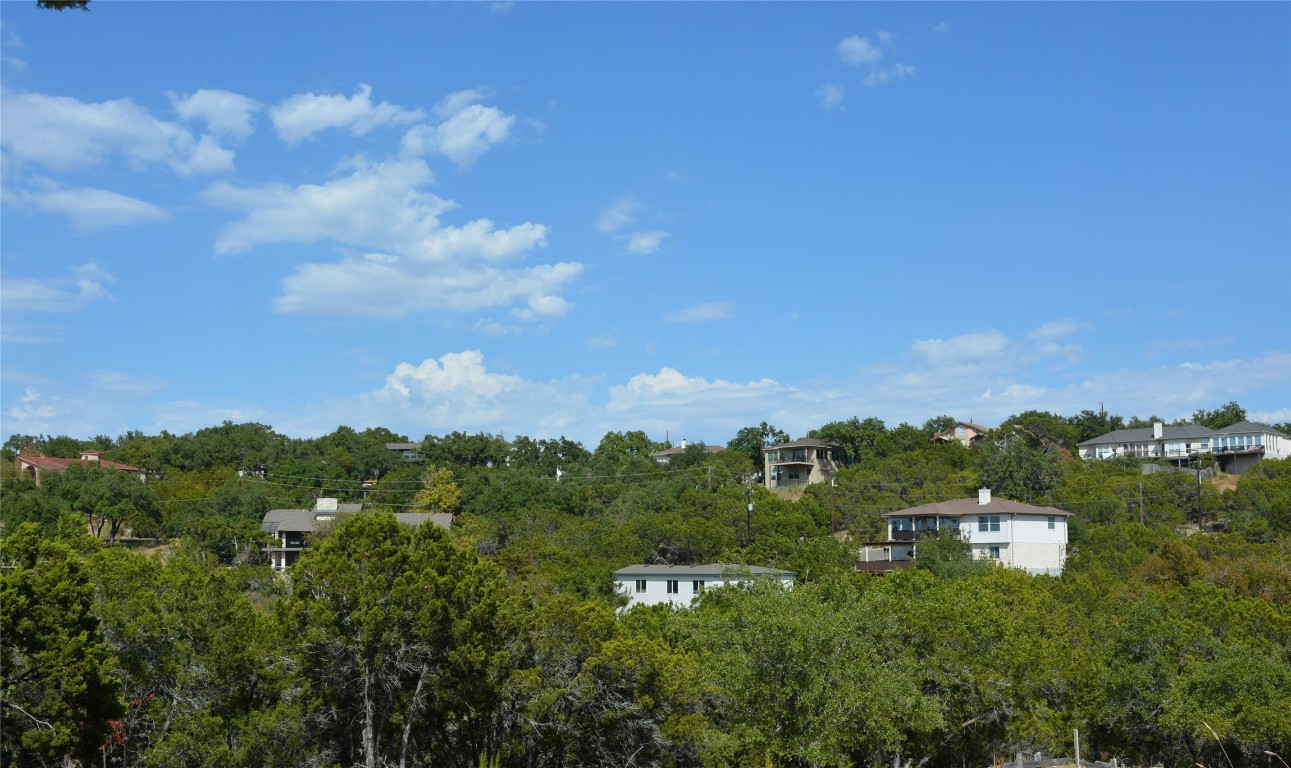 20708 Oak Ridge Lago Vista, TX 78645 - Photo 3 of 6 a view of a bunch of trees in a field