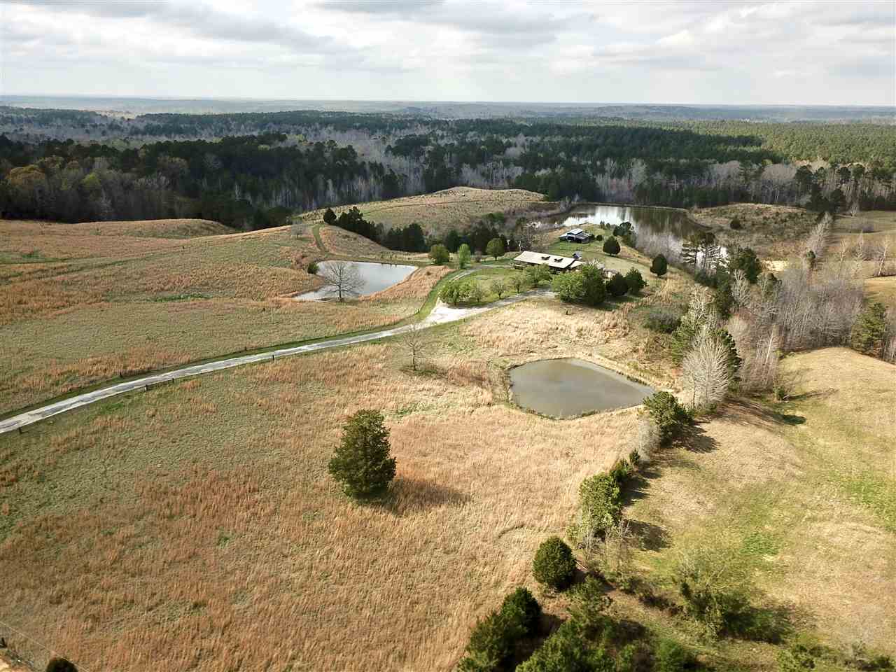 1281 Highway 356 Rienzi, MS 38865 - Photo 19 of 25 Gallery Image 19