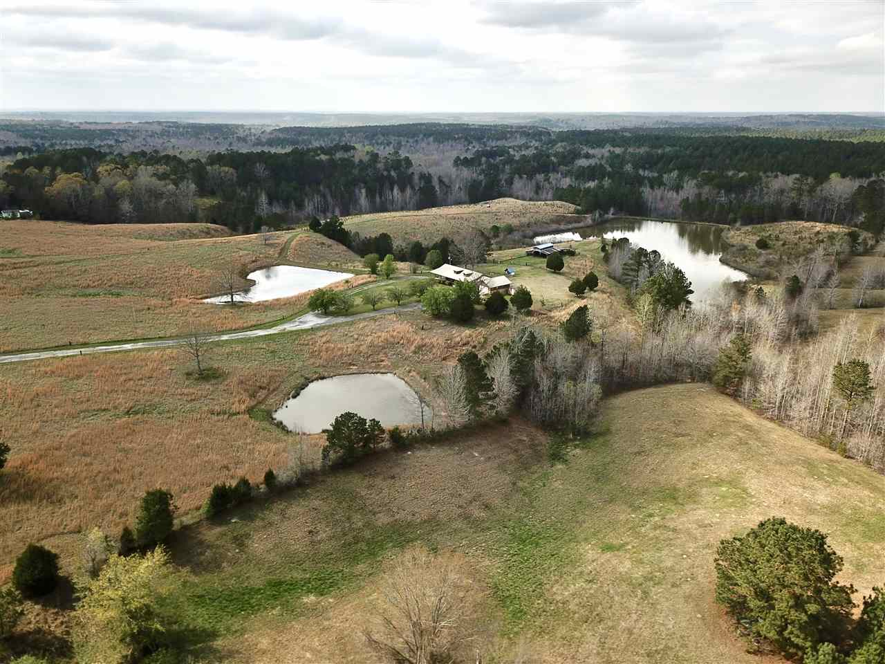 1281 Highway 356 Rienzi, MS 38865 - Photo 20 of 25 Gallery Image 20