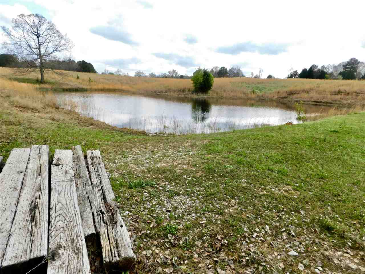 1281 Highway 356 Rienzi, MS 38865 - Photo 3 of 25 Gallery Image 3