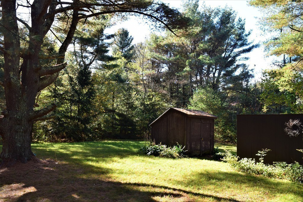 641 Wheelwright Road Barre, MA 01005 - Photo 22 of 26 a yard with large trees