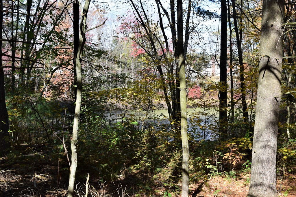 641 Wheelwright Road Barre, MA 01005 - Photo 23 of 26