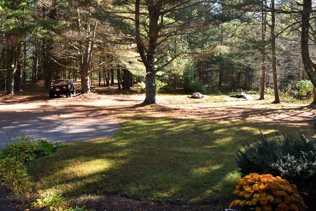 641 Wheelwright Road Barre, MA 01005 - Photo 3 of 26 a view of a yard with plants and trees