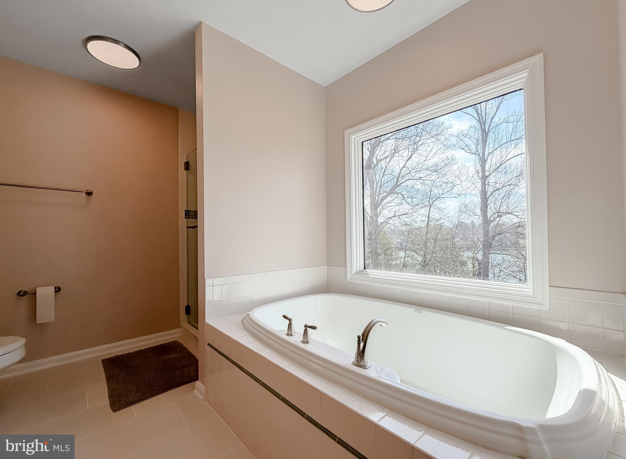 44731 Smiths Nursery Road Hollywood, MD 20636 - Photo 59 of 87 Soaking tub w/ view