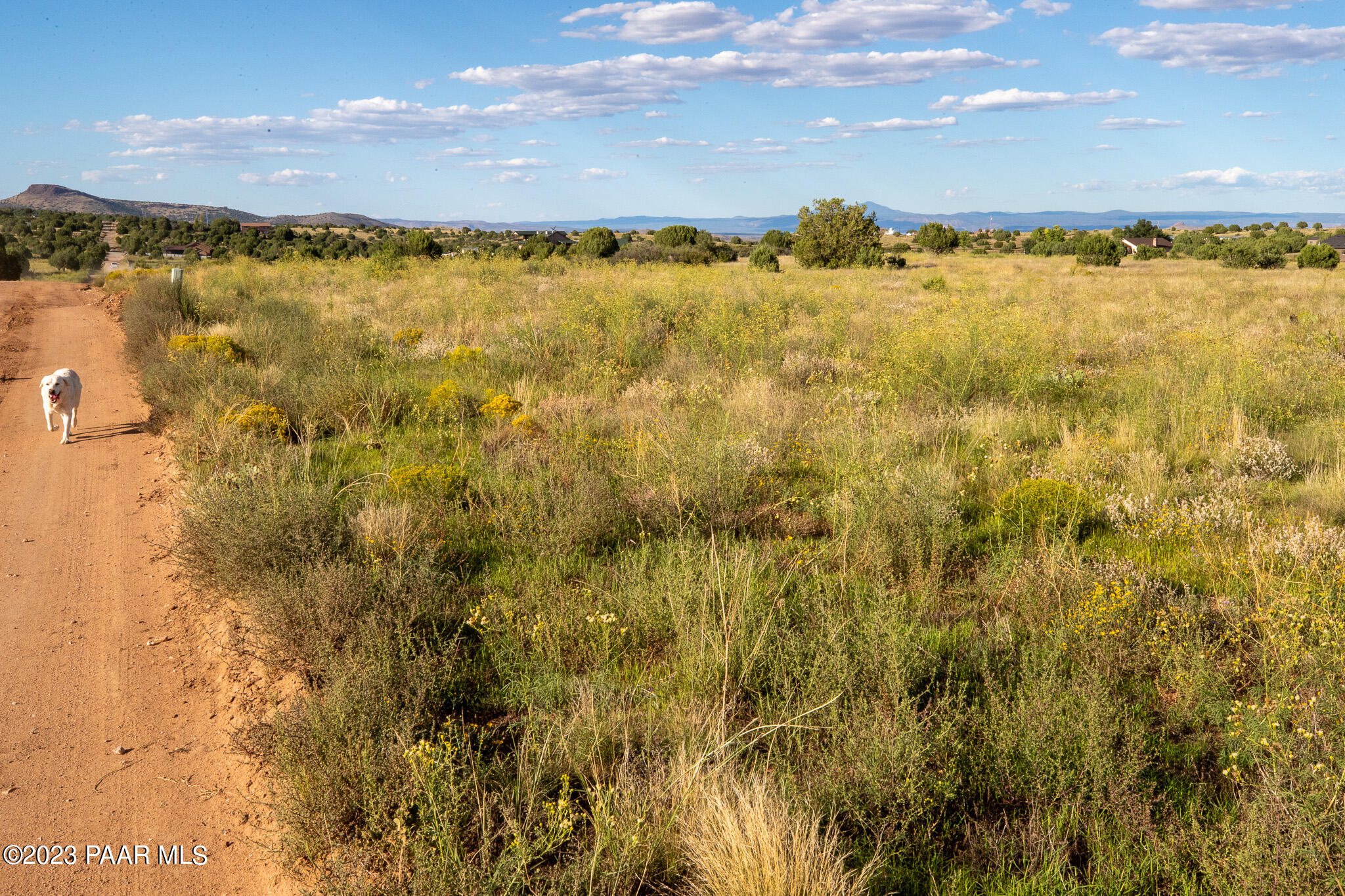 395 Bandit Ridge Road Chino Valley, AZ 86323 - Photo 14 of 21 395 S Bandit Ridge