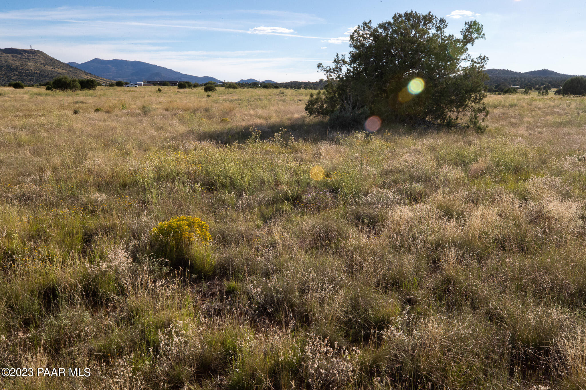 395 Bandit Ridge Road Chino Valley, AZ 86323 - Photo 10 of 21 395 S Bandit Ridge