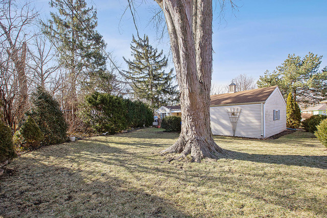 2324 Hawthorne Road Homewood, IL 60430 - Photo 10 of 10 a view of a backyard with large trees