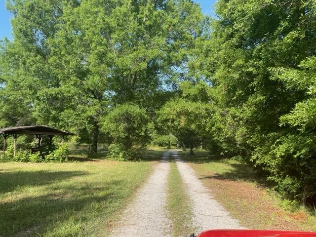 84548460 Chambers Road Chattanooga, TN 37421 - Photo 6 of 23 Gallery Image 6