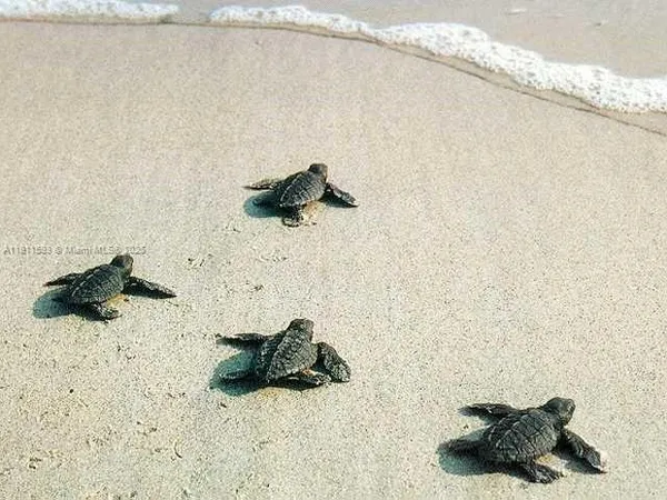 a view of a lake view