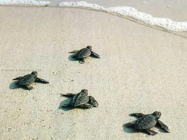 a view of a lake view