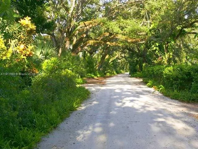 a view of a tree with a tree