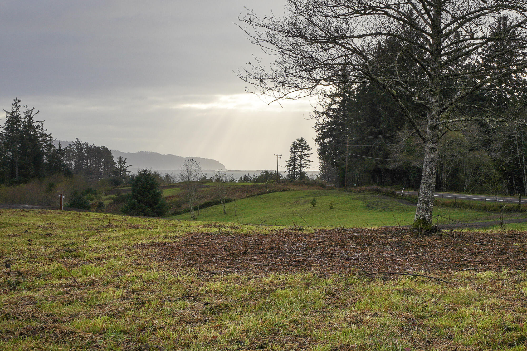 Lot 101 Whiskey Creek Road Tillamook, OR 97141 - Photo 11 of 12 11