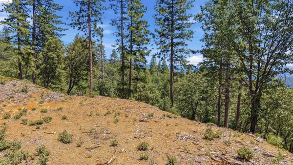 $49,000 | 0 Old Oak Ranch Road, Sonora, CA 95370