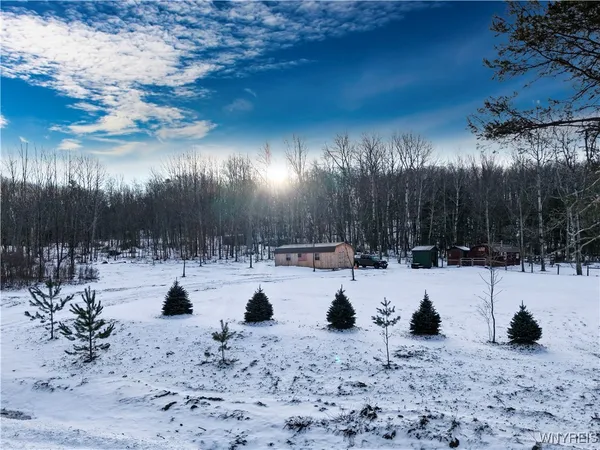 $93,000 | 9306 Snake Run Road, East Otto, NY 14729