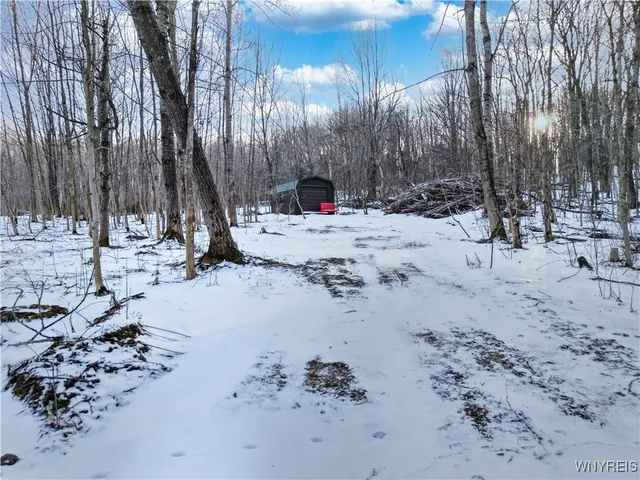 $114,900 | 9306 Snake Run Road, East Otto, NY 14729