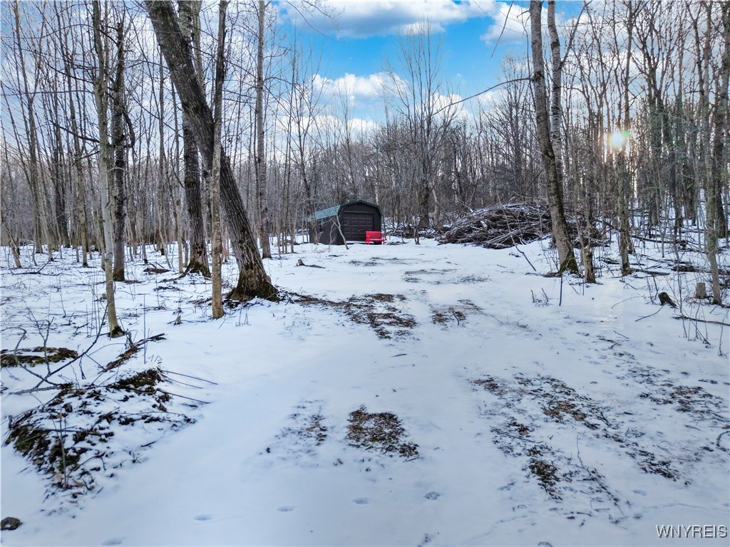 9306 Snake Run Road East Otto, NY 14729 - Photo 18 of 38