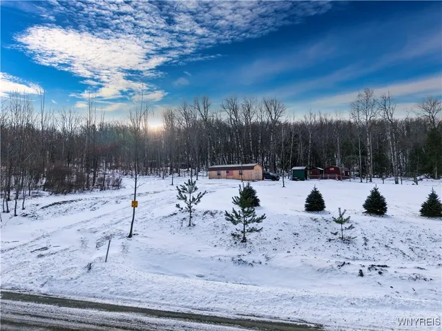 $114,900 | 9306 Snake Run Road, East Otto, NY 14729