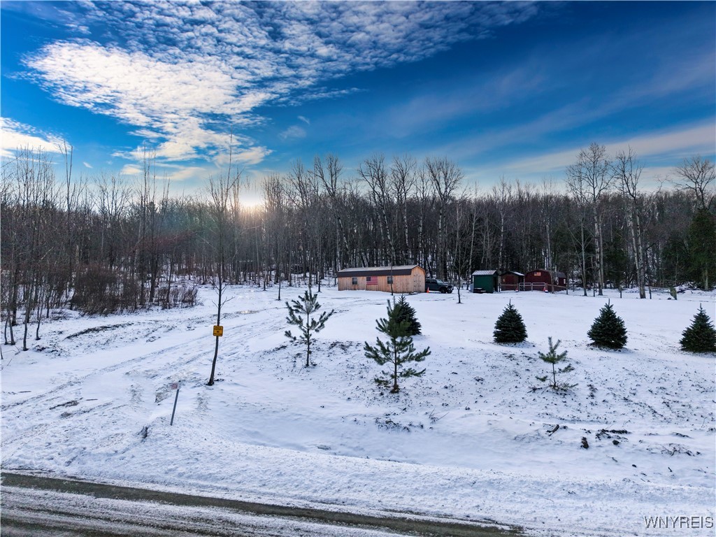 9306 Snake Run Road East Otto, NY 14729 - Photo 21 of 38