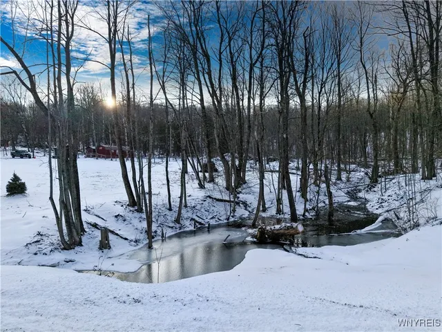 $114,900 | 9306 Snake Run Road, East Otto, NY 14729