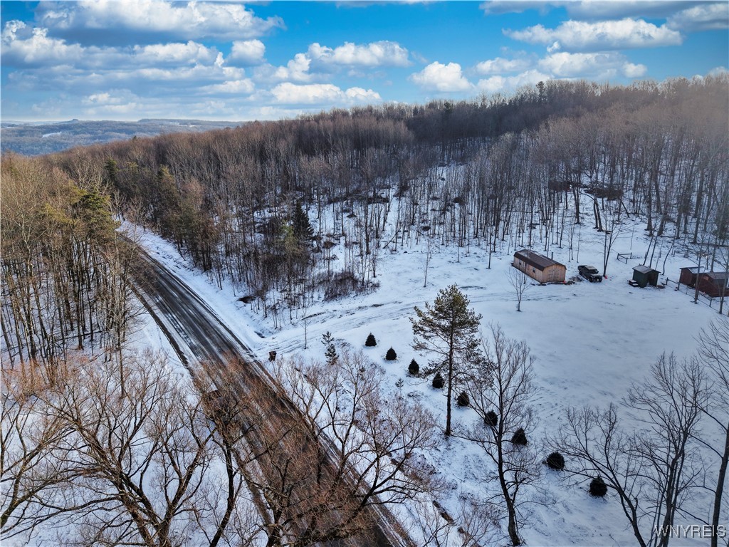 9306 Snake Run Road East Otto, NY 14729 - Photo 25 of 38