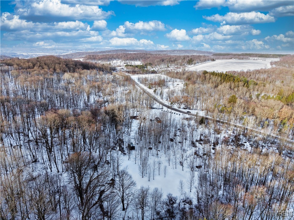 9306 Snake Run Road East Otto, NY 14729 - Photo 26 of 38