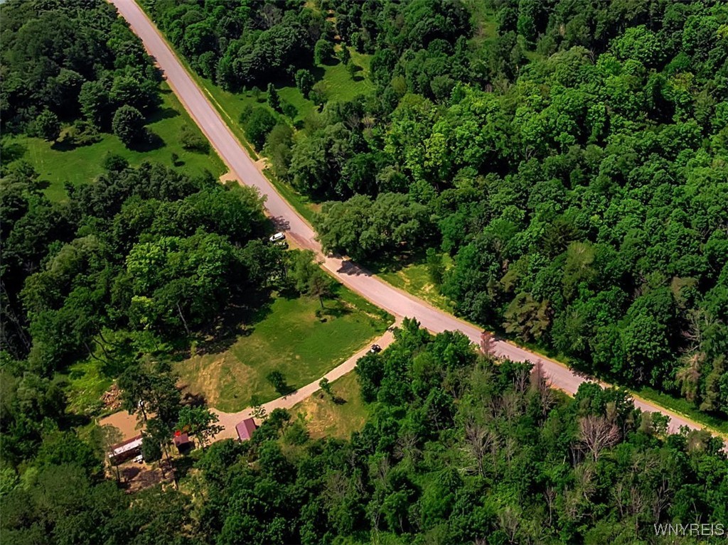 9306 Snake Run Road East Otto, NY 14729 - Photo 30 of 38