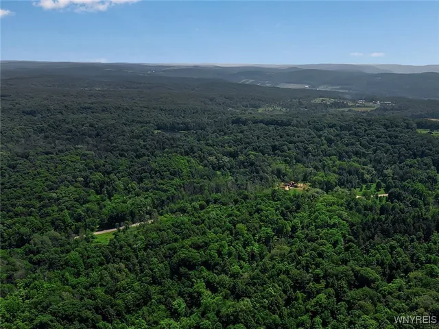 $114,900 | 9306 Snake Run Road, East Otto, NY 14729