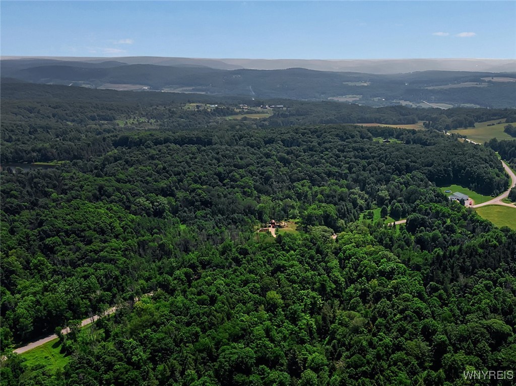 9306 Snake Run Road East Otto, NY 14729 - Photo 32 of 38