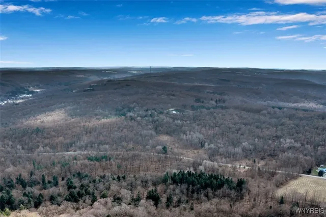 $114,900 | 9306 Snake Run Road, East Otto, NY 14729