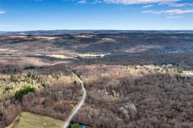 $114,900 | 9306 Snake Run Road, East Otto, NY 14729