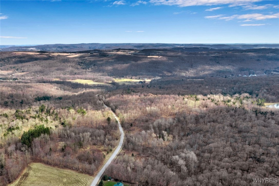 9306 Snake Run Road East Otto, NY 14729 - Photo 35 of 38 Drone photo pre-improvement